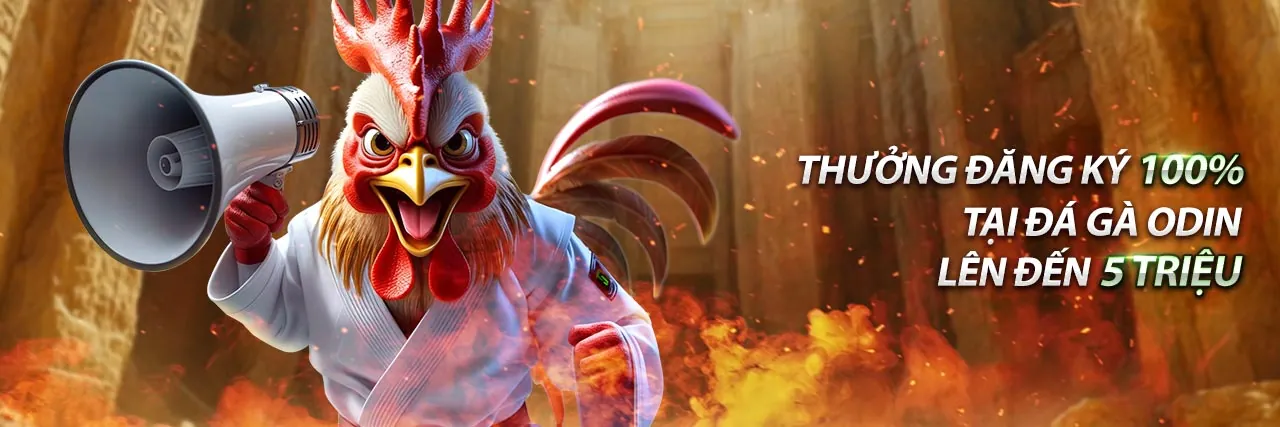 Sân đấu đá gà trực tuyến sôi động tại 777win casino